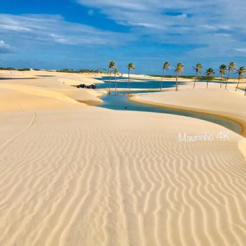 559885066890_status_9a03e9e8d3554790a11e414b36ed8092