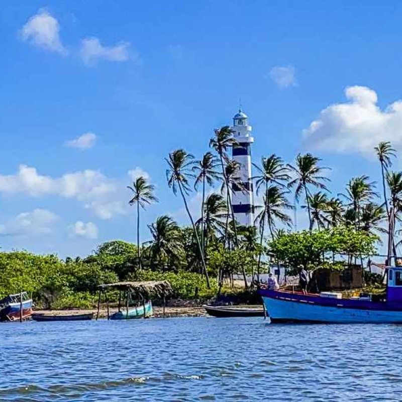 559888293127_status_a7877905435547868f140f208435ea69 - Copiar