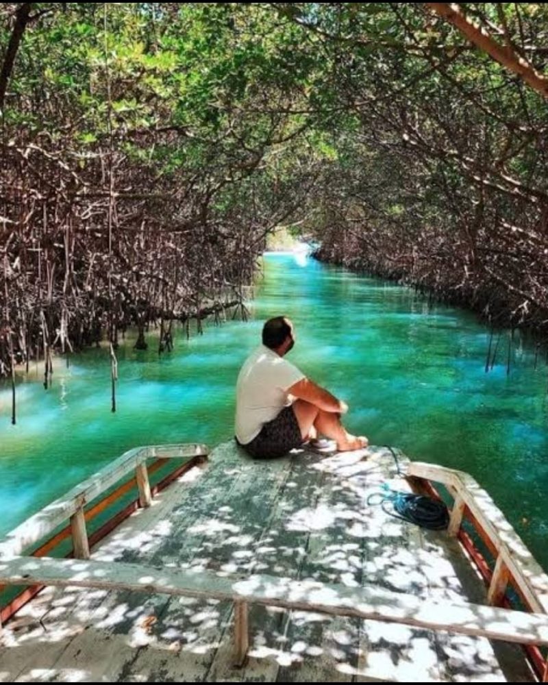 Screenshot_20220704-140854_WhatsAppBusiness